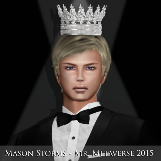 mason storms - mr. metaverse 2015 words